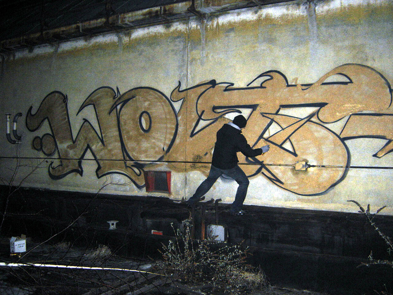 WOLT  ACTION